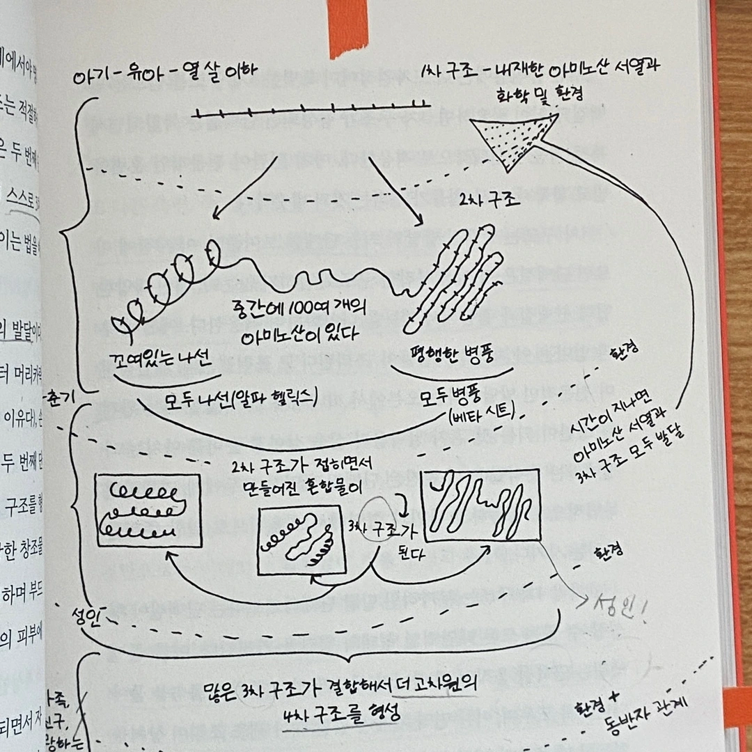 KakaoTalk_Photo_2024-03-27-10-40-11 002.jpeg