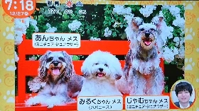 DvYGBmHVsAAdEJT.jfif