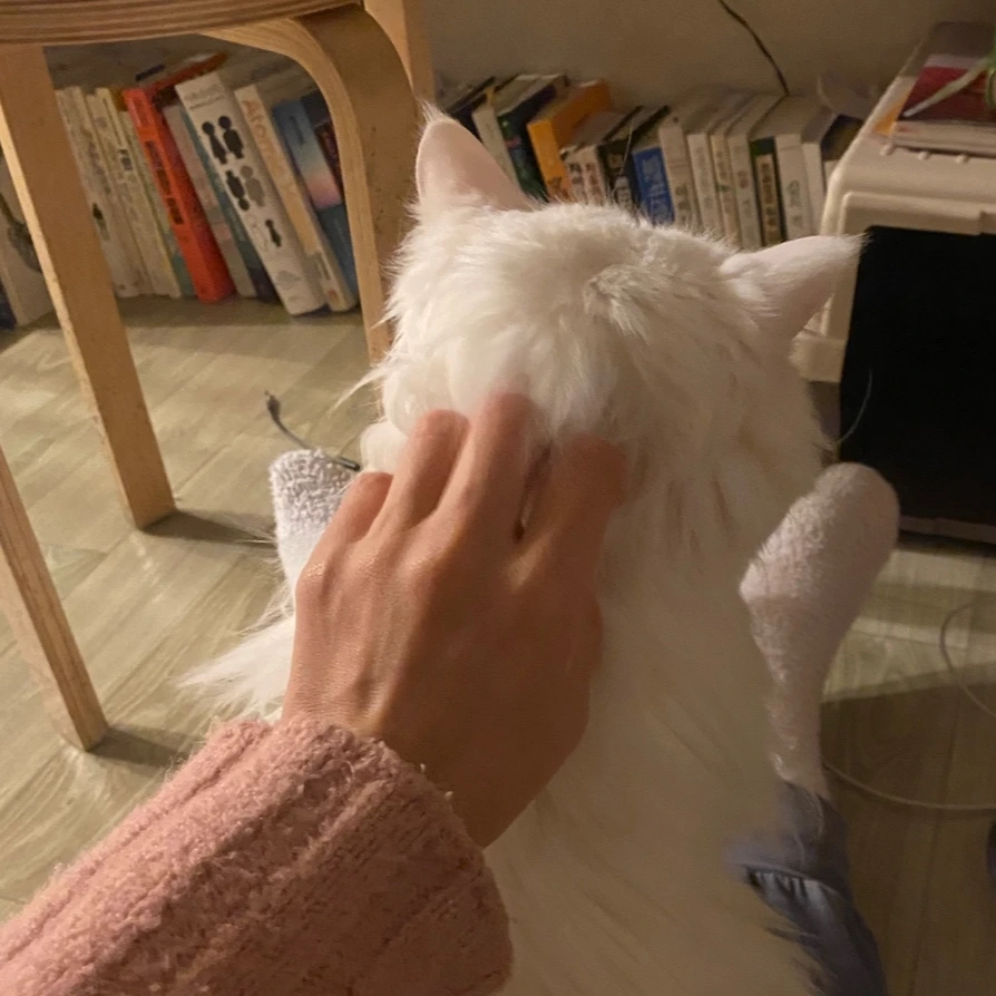 KakaoTalk_Photo_2024-01-19-10-58-02 002.jpeg