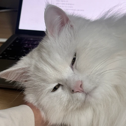 KakaoTalk_Photo_2025-12-11-08-39-05 002.jpeg