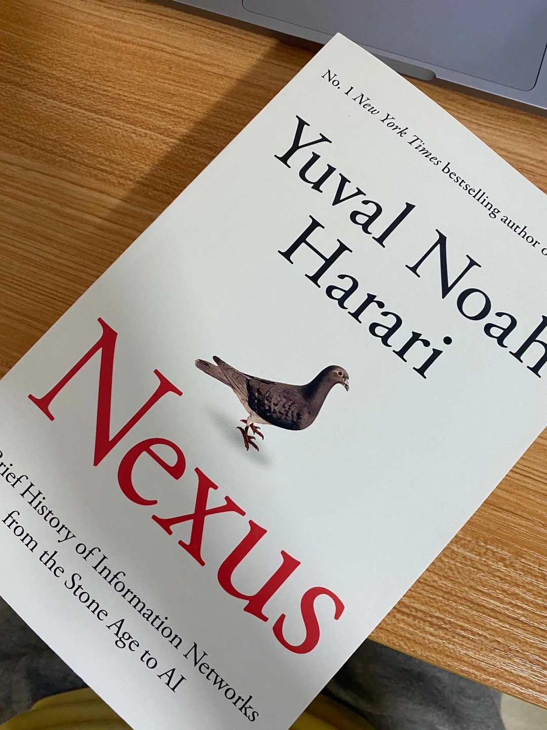 KakaoTalk_Photo_2024-10-09-08-45-58 001.jpeg