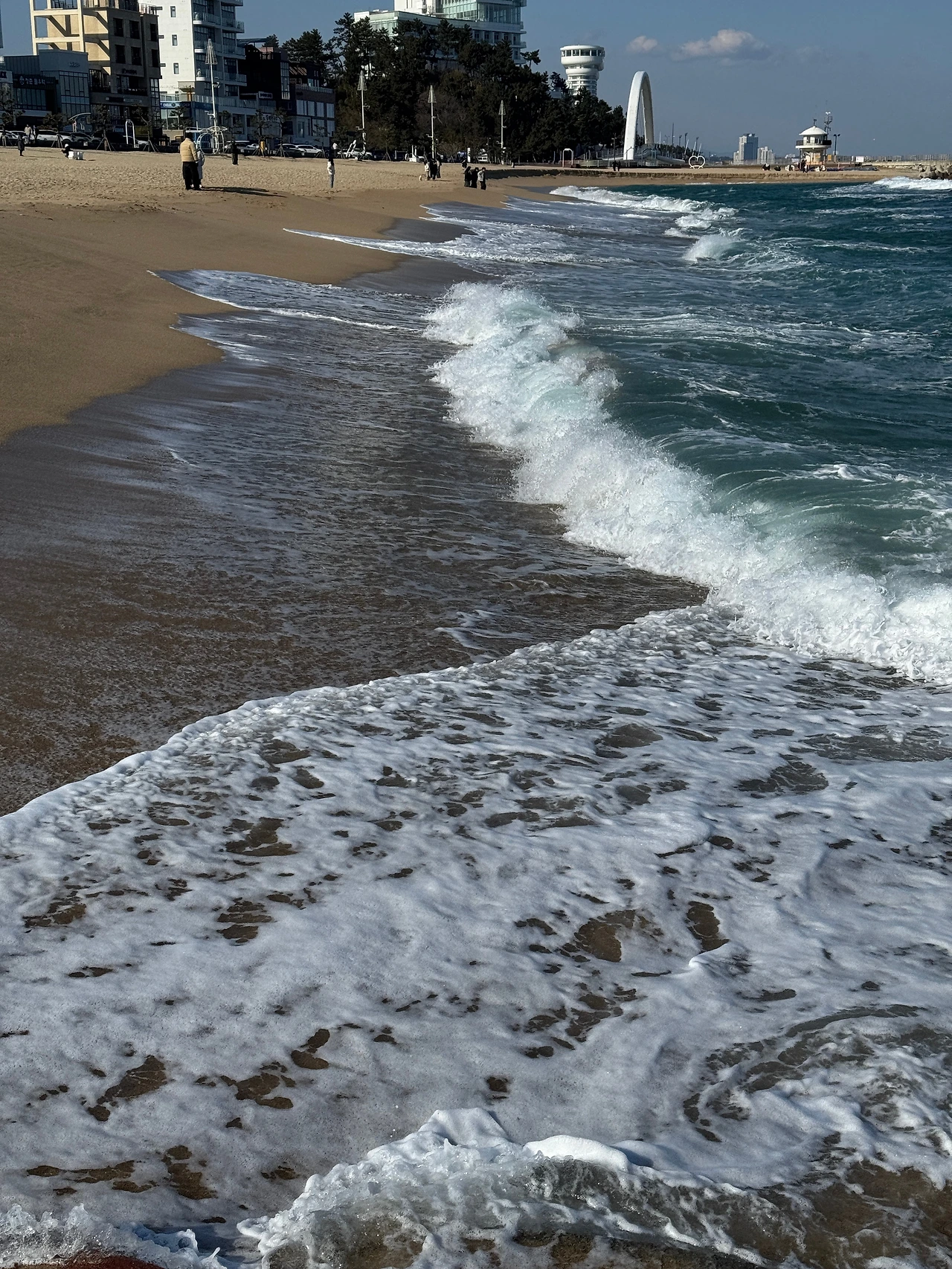 IMG_7551 오후 9.00.38.JPG