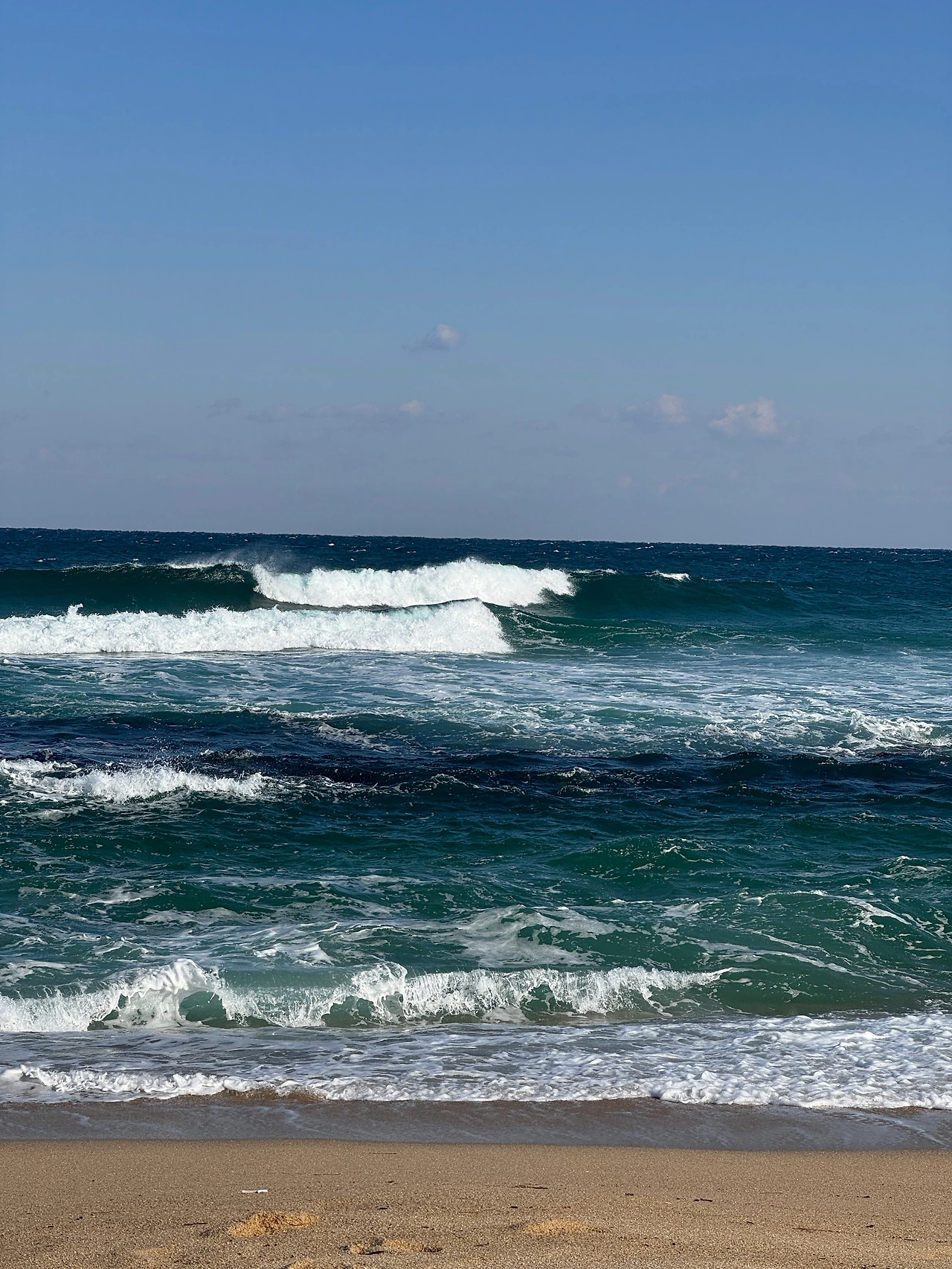 IMG_7539 오후 9.00.43.JPG