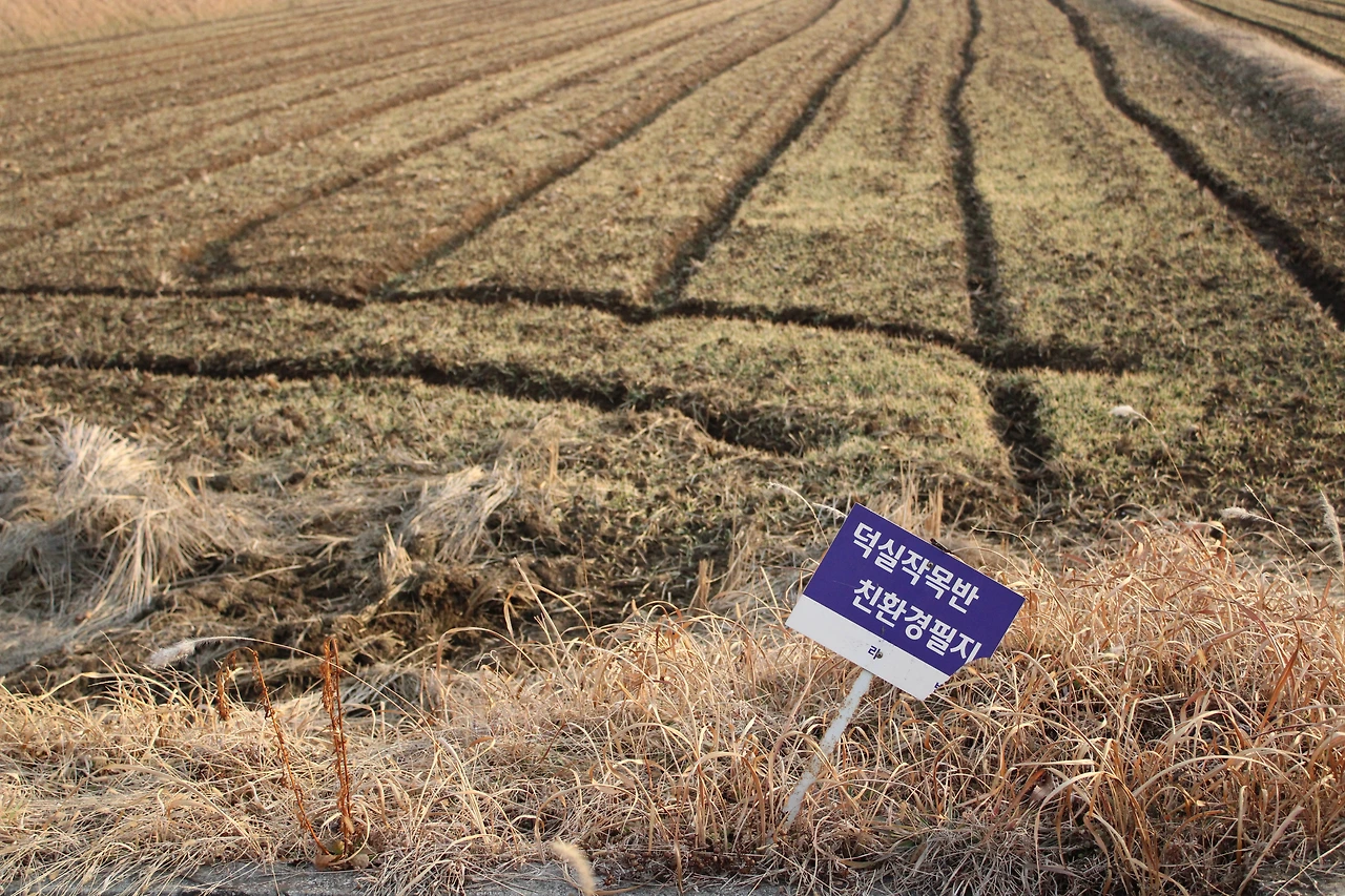 덕실마을 친환경필지_소혜미.JPG