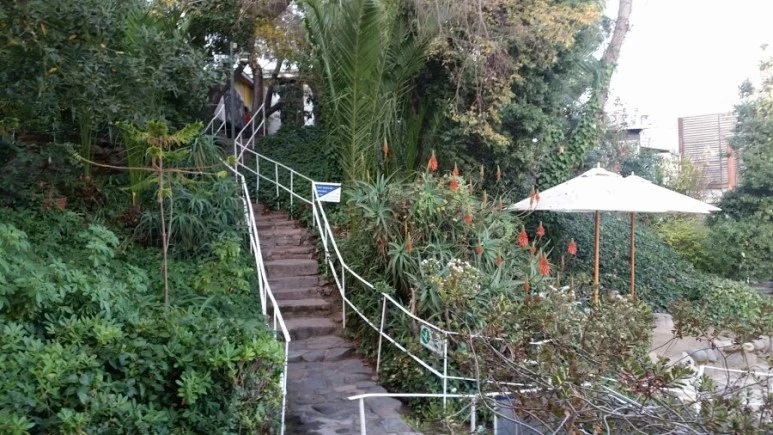 20180602_154942.jpg?type=w1