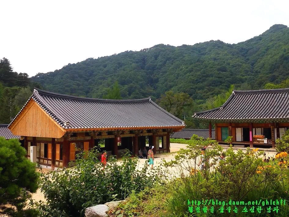 261AC84755D3CD1425858C