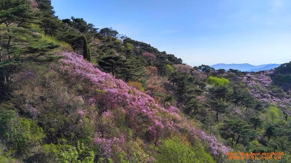 2301EB3A593224AE25951E