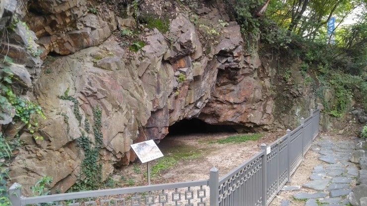 20181009_095921_HDR.jpg?type=w2