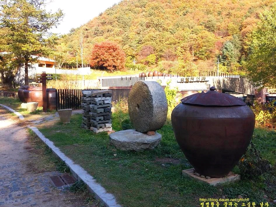 25045C35562EE69516B091