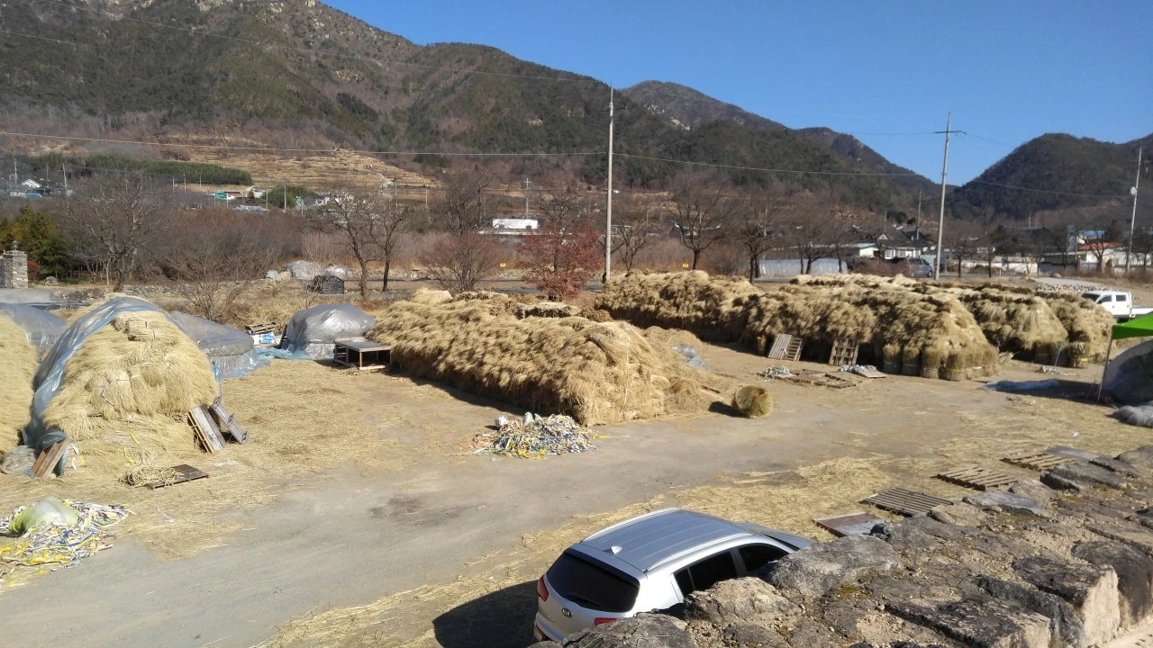 a_ibaUd018svc1x6mx2berx0_bb9w4o.jpg?type=e1920_std