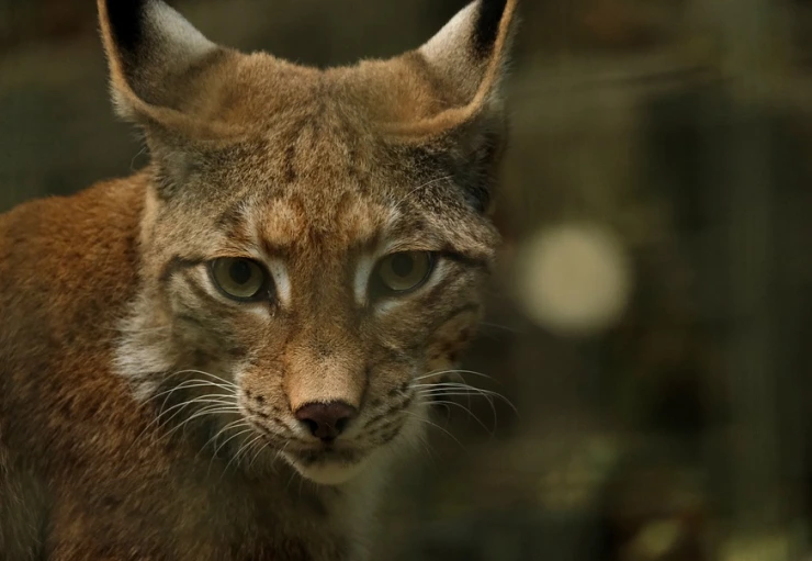 %EB%AA%A9%ED%8F%AC%EC%88%98%EA%B5%B0%EC%A0%9C-%EB%AA%A9%ED%8F%AC%EC%8B%9C.PNG?type=w2