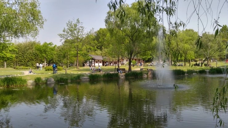20190505_160217_HDR.jpg?type=w2