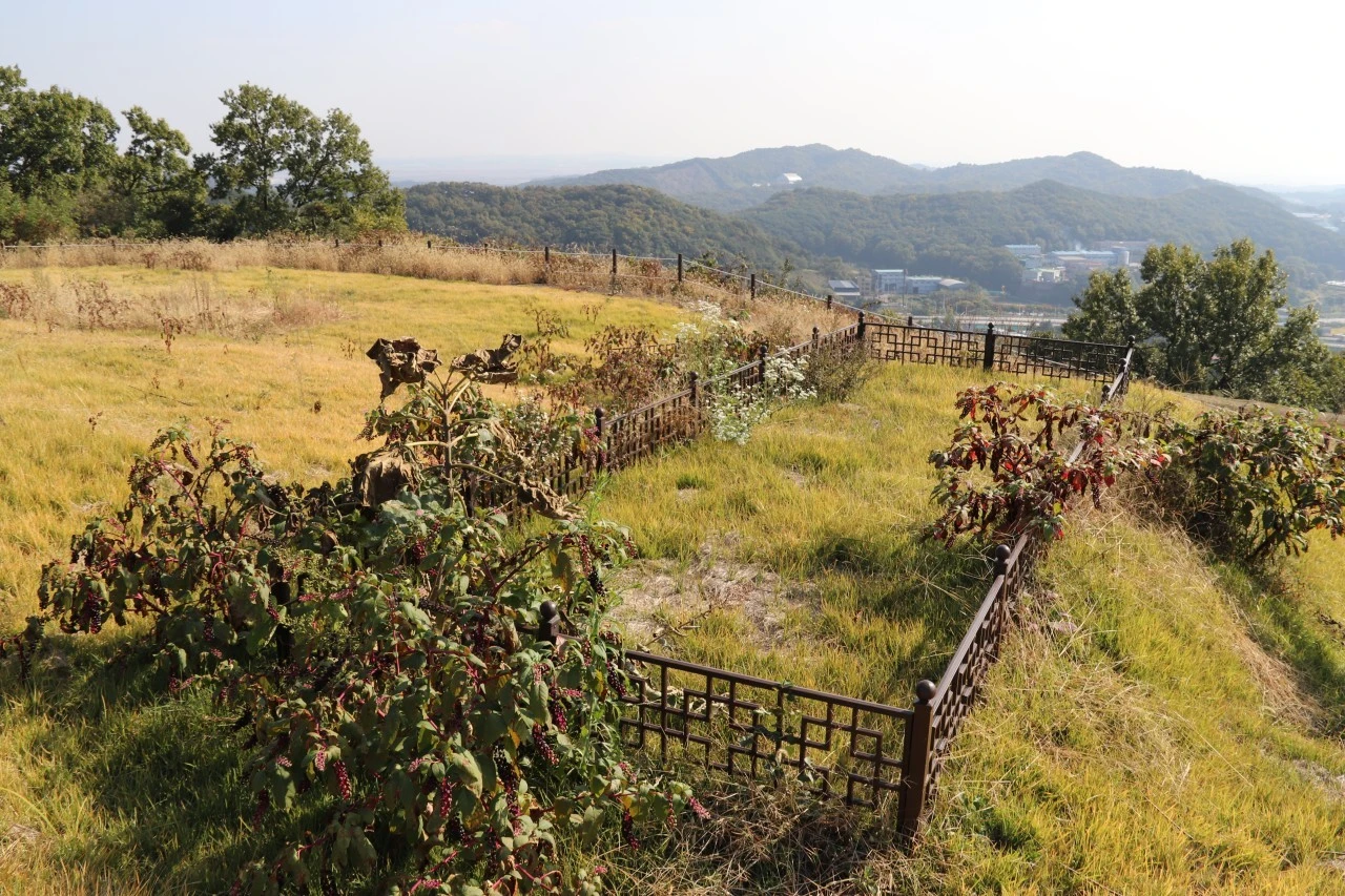 e_94iUd018svcud6izp5meiw6_bb9w4o.jpg?type=e1920_std