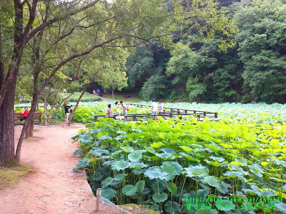 256FFE4855D3CDCD1EF925