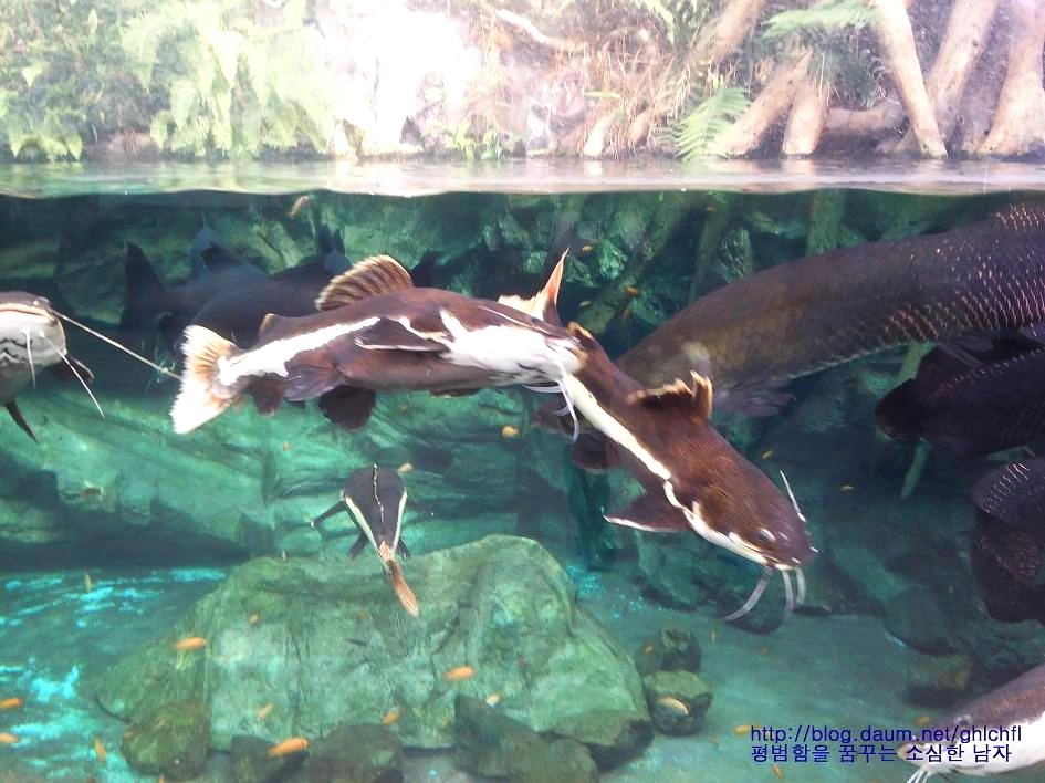 2128E13858A4E8680FE418