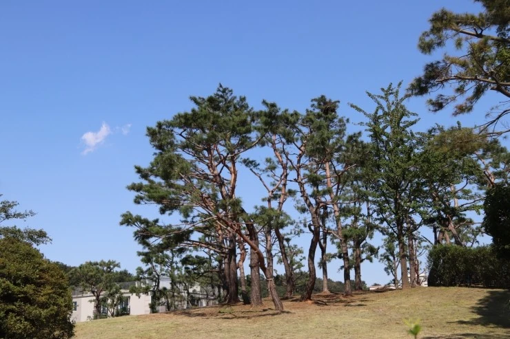 IMG_5329.JPG?type=w2