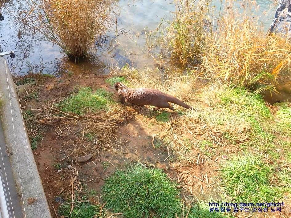 231E403458A4E8CB0B6A0D