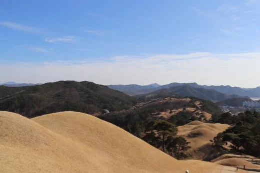 a_d46Ud018svc1mzdf6q5r1dsr_bb9w4o.jpg?type=w520