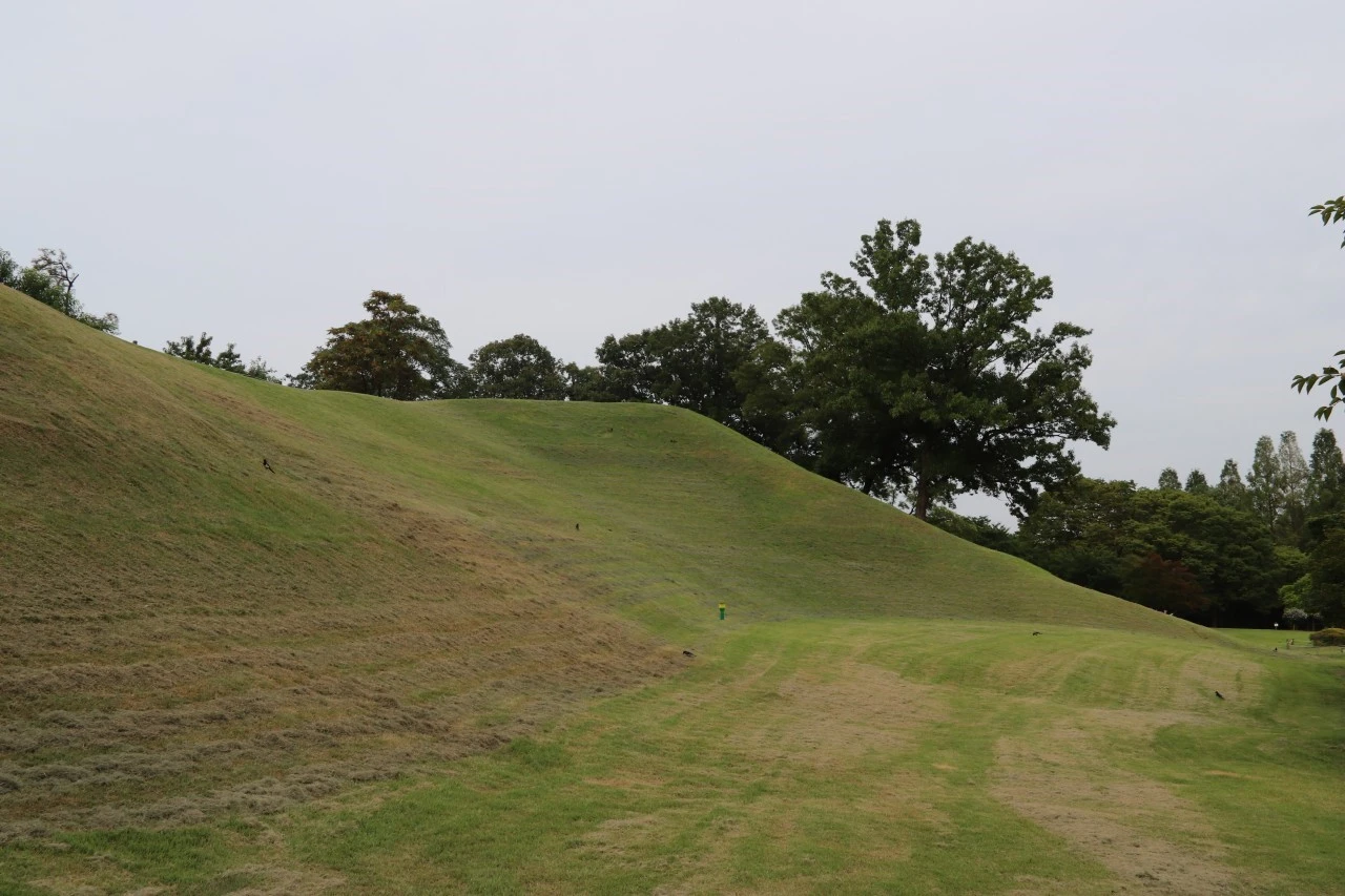 b_92fUd018svc1iu62scnwv2ql_bb9w4o.jpg?type=e1920_std