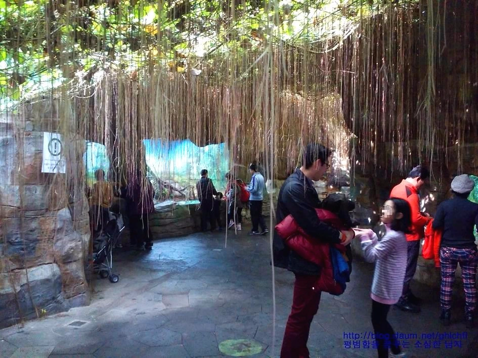 212BD24D58A51BBA2D61F9