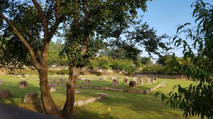 20180924_082042.jpg?type=w2