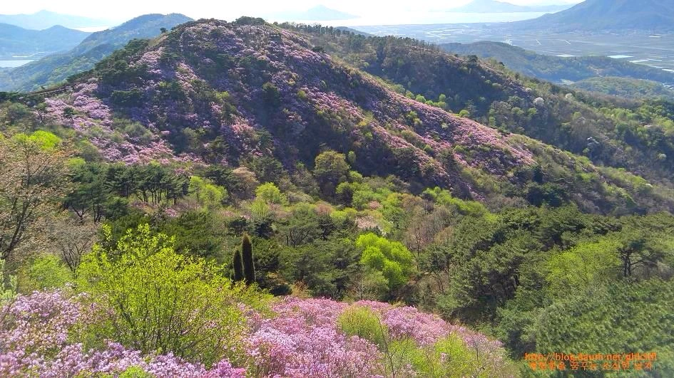 272DCD36593225022D37E5