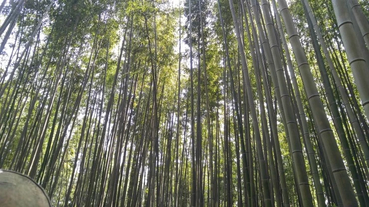 20190505_140006_HDR.jpg?type=w2