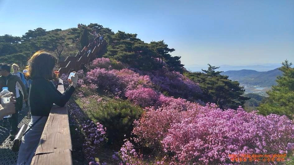 21405A36593225053A4E0D