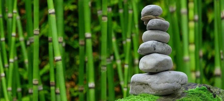 %EB%AA%A9%ED%8F%AC%EC%88%98%EA%B5%B0%EC%A0%9C.PNG?type=w2