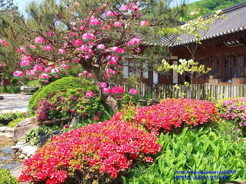 263E9F50543CC3F7327744