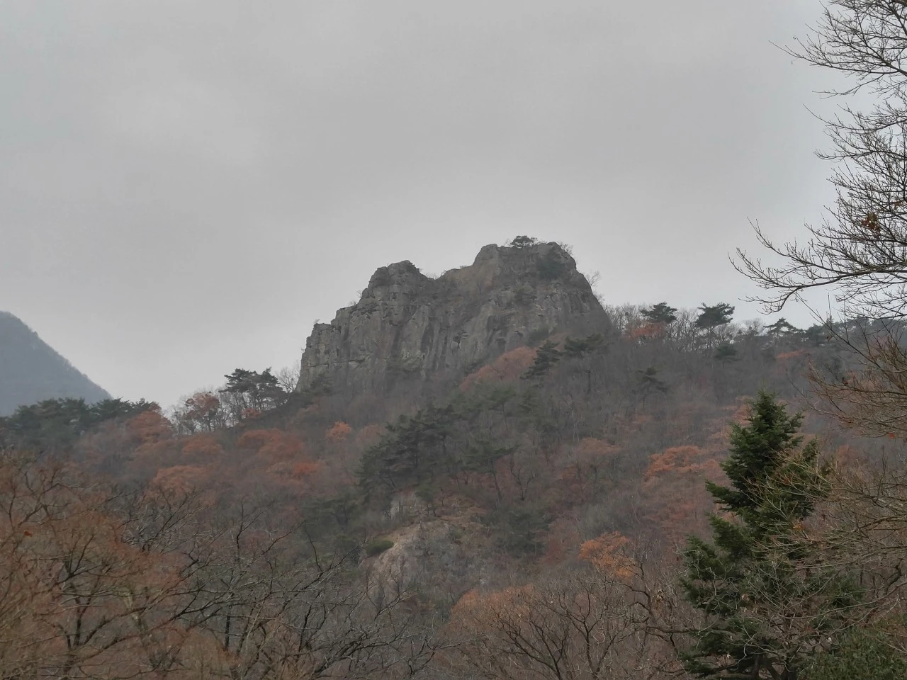 1_b0eUd018svcmfgwn7g89lpx_bb9w4o.jpg?type=e1920_std