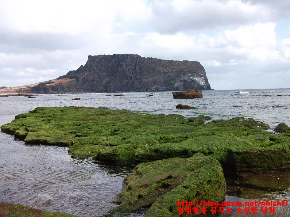 2575953952F23FBC35FB50