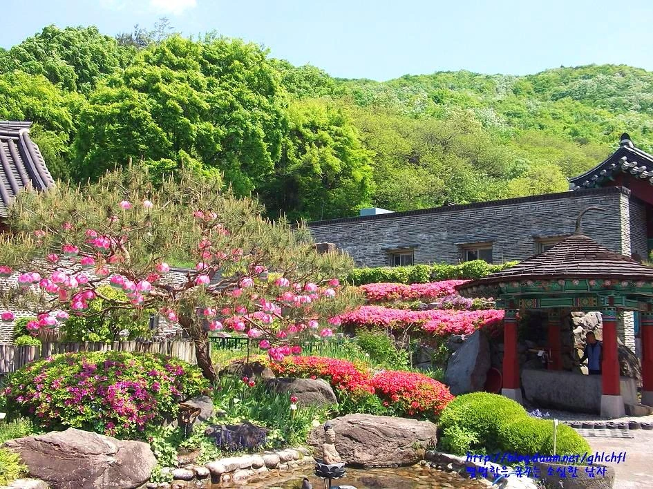 241CA447543CC355096EC3