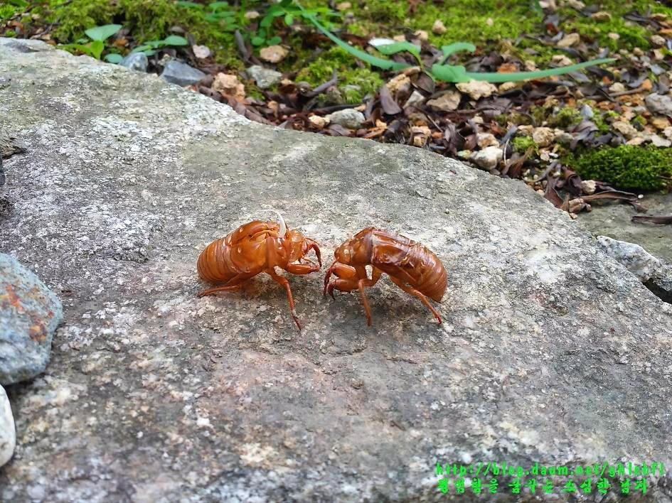 261BF94755D3CD1724F5CF