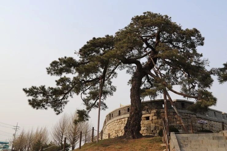 IMG_4297.JPG?type=w2