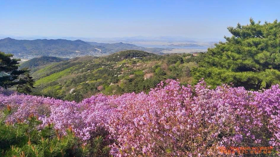 264A9B3659322509336702