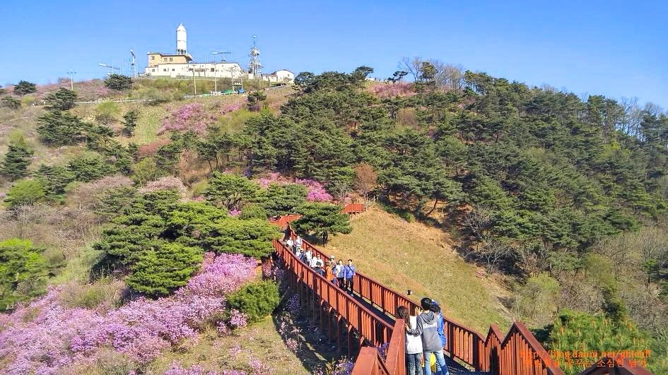 2324F9365932250D28F6AD