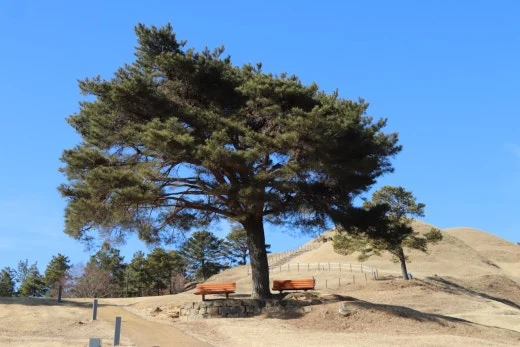 g_g44Ud018svc1078wspdxnyy2_bb9w4o.jpg?type=w520