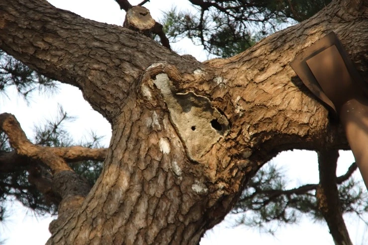 IMG_4302.JPG?type=w2