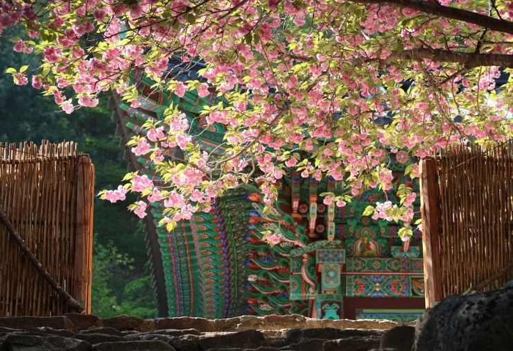 %EA%B3%A0%ED%95%98%EB%8F%84.PNG?type=w2