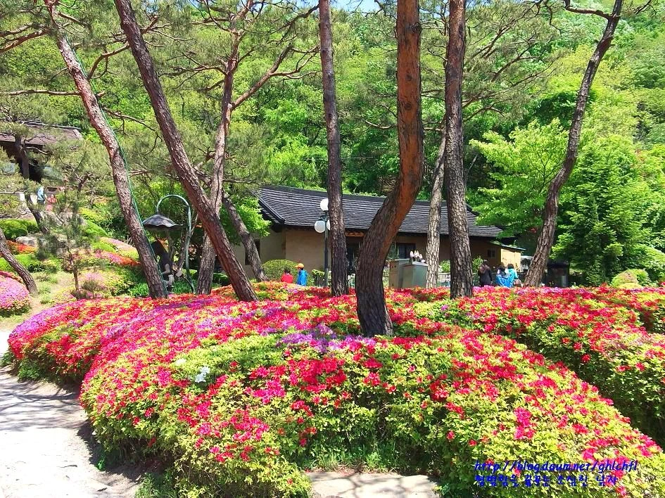 2467024E543CC409075FEC