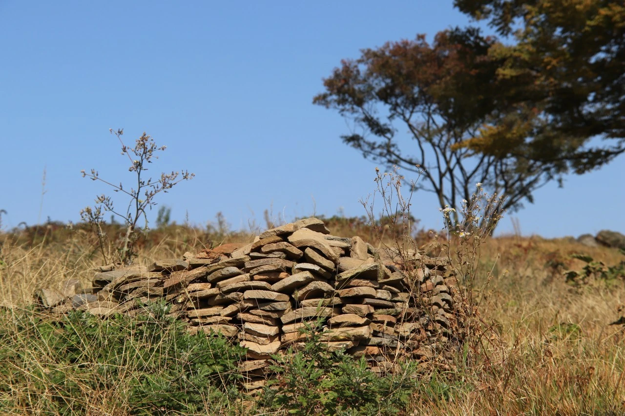 i_24iUd018svc1kreu78nxp8ak_bb9w4o.jpg?type=e1920_std