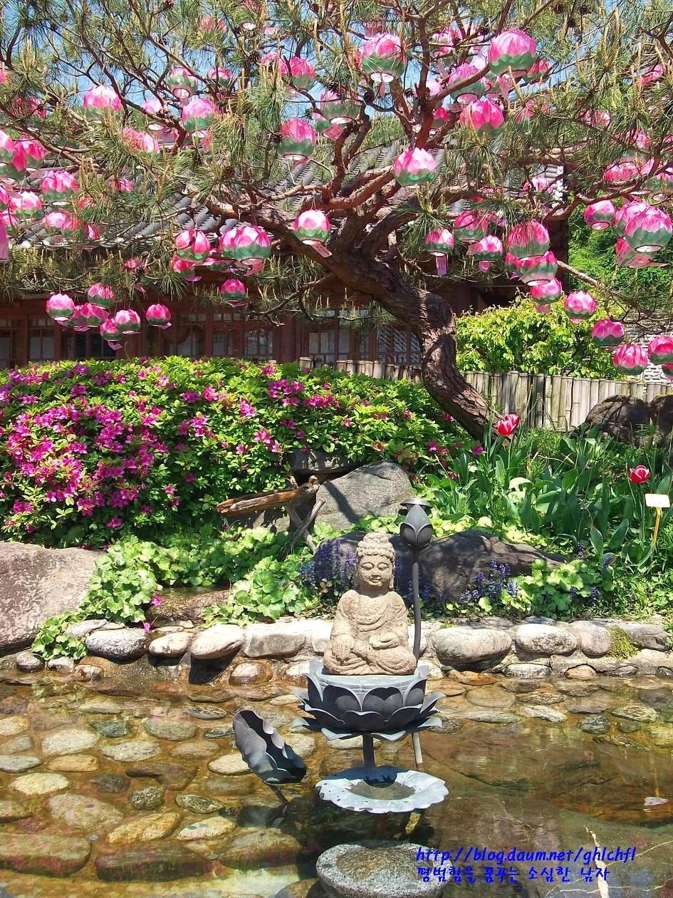 22199047543CC3570D77C6