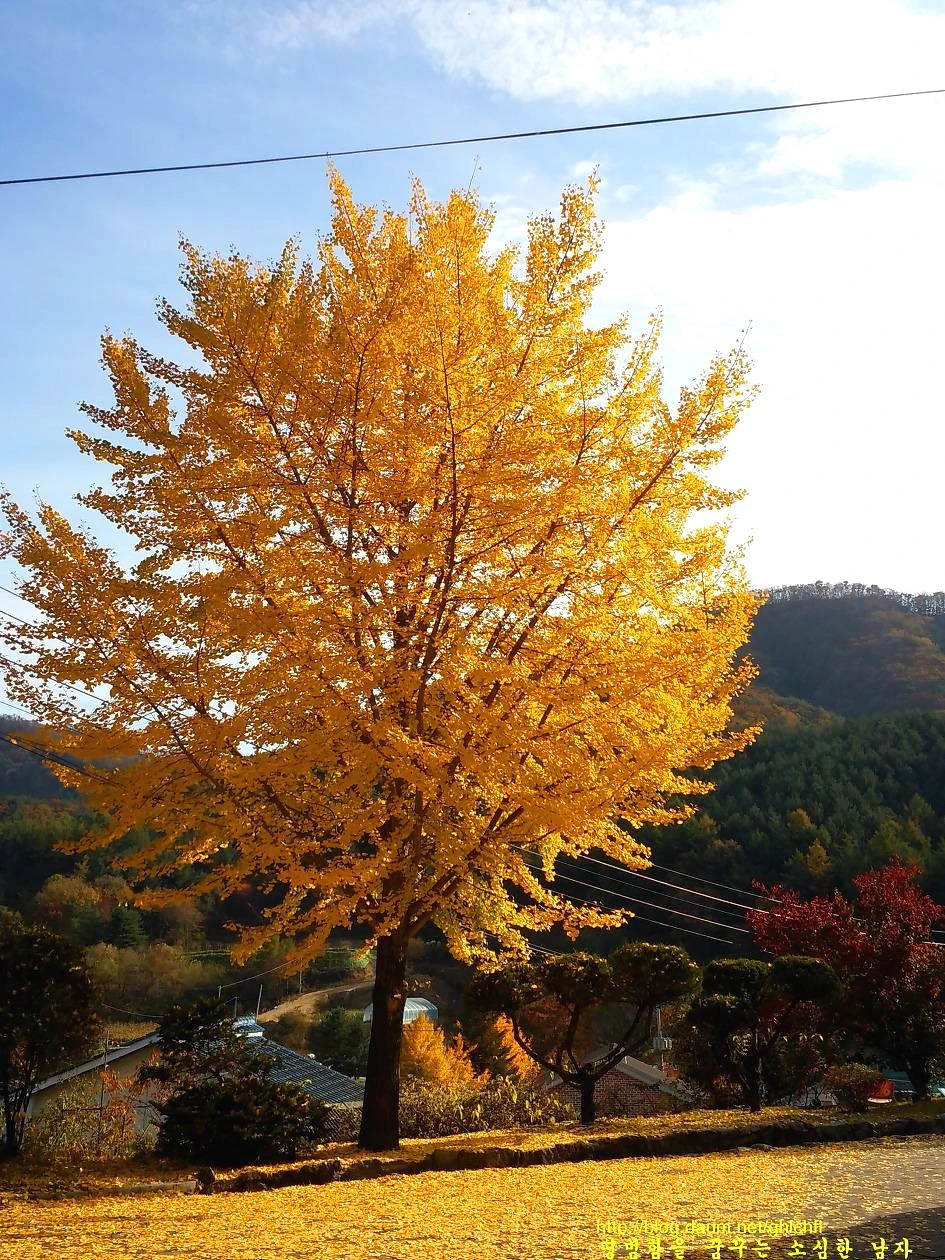 2606FC35562EE67D136ABA