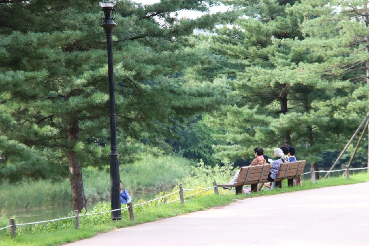 j_72eUd018svcmy7pjo9lqsga_bb9w4o.jpg?type=e1920_std