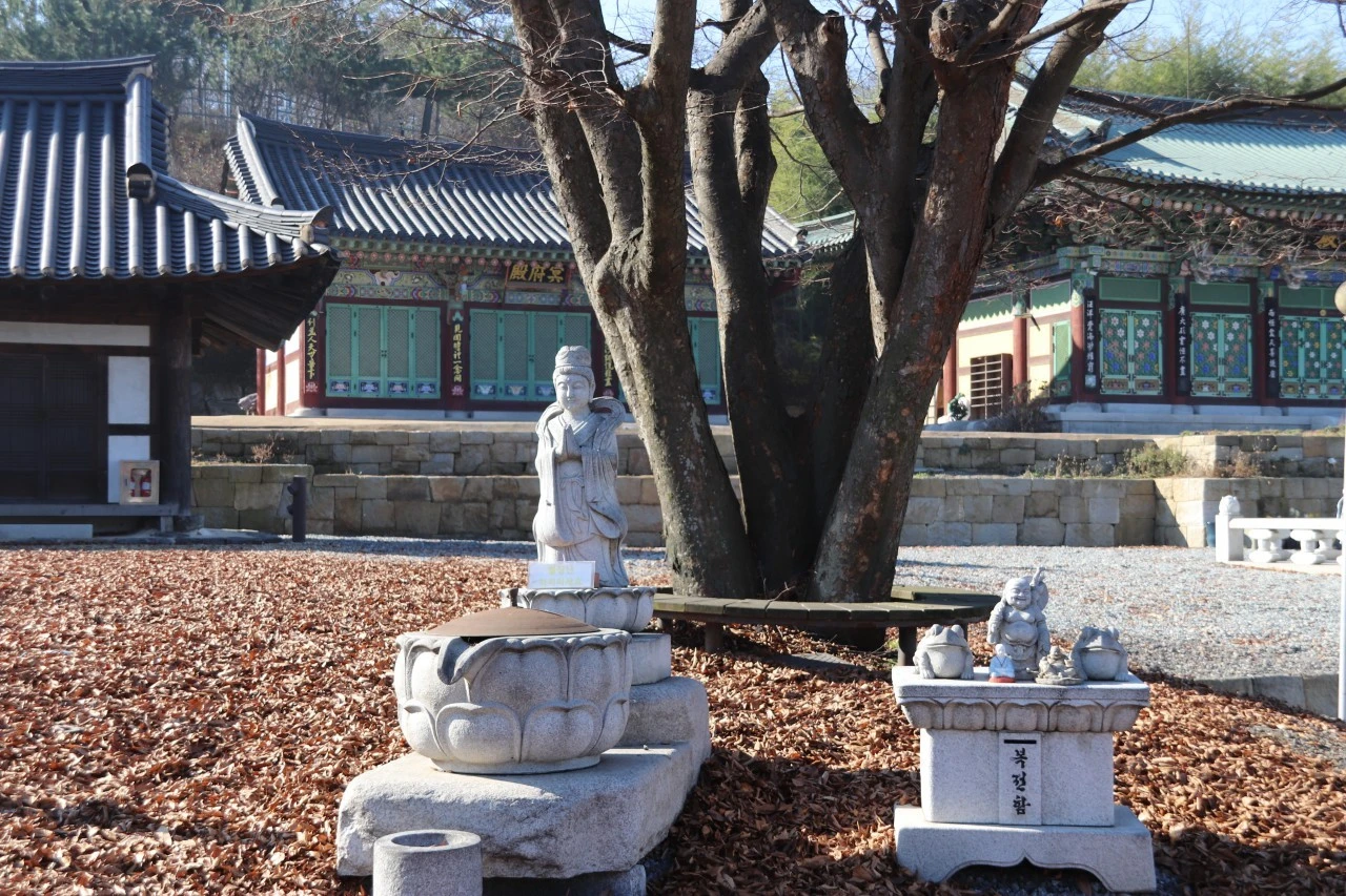 5_h5gUd018svct3ns1skg40yu_bb9w4o.jpg?type=e1920_std