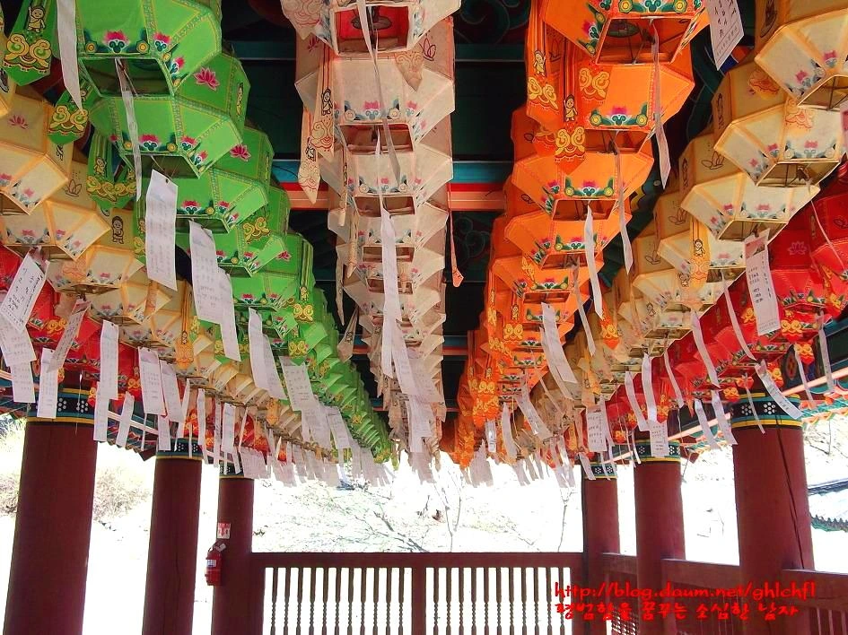 261164485395AE8330936E