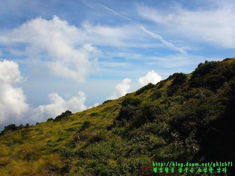 23598A4655E3A94A2CE09C