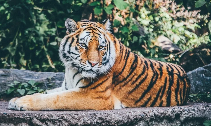 %EC%9C%A0%EB%8B%AC%EC%82%B02-%EB%AA%A9%ED%8F%AC%EC%8B%9C.PNG?type=w2