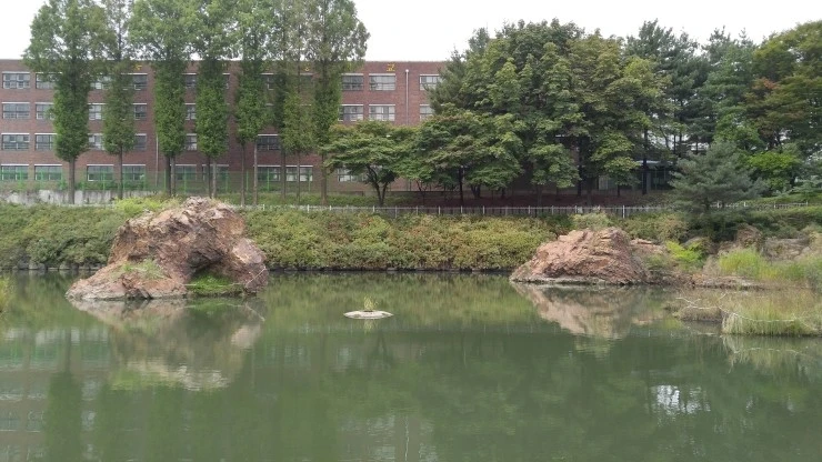 20181009_100711_HDR.jpg?type=w2